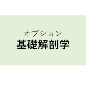 マスタートレーナー養成コース　オプション【基礎解剖学】