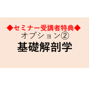【当協会主催セミナー受講者限定特典】マスタートレーナー養成コース　オプション➁【基礎解剖学】