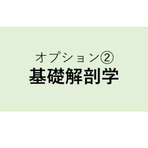 マスタートレーナー養成コース オプション➁【基礎解剖学】